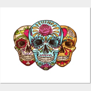 Three Colorful Skulls Art Design Posters and Art